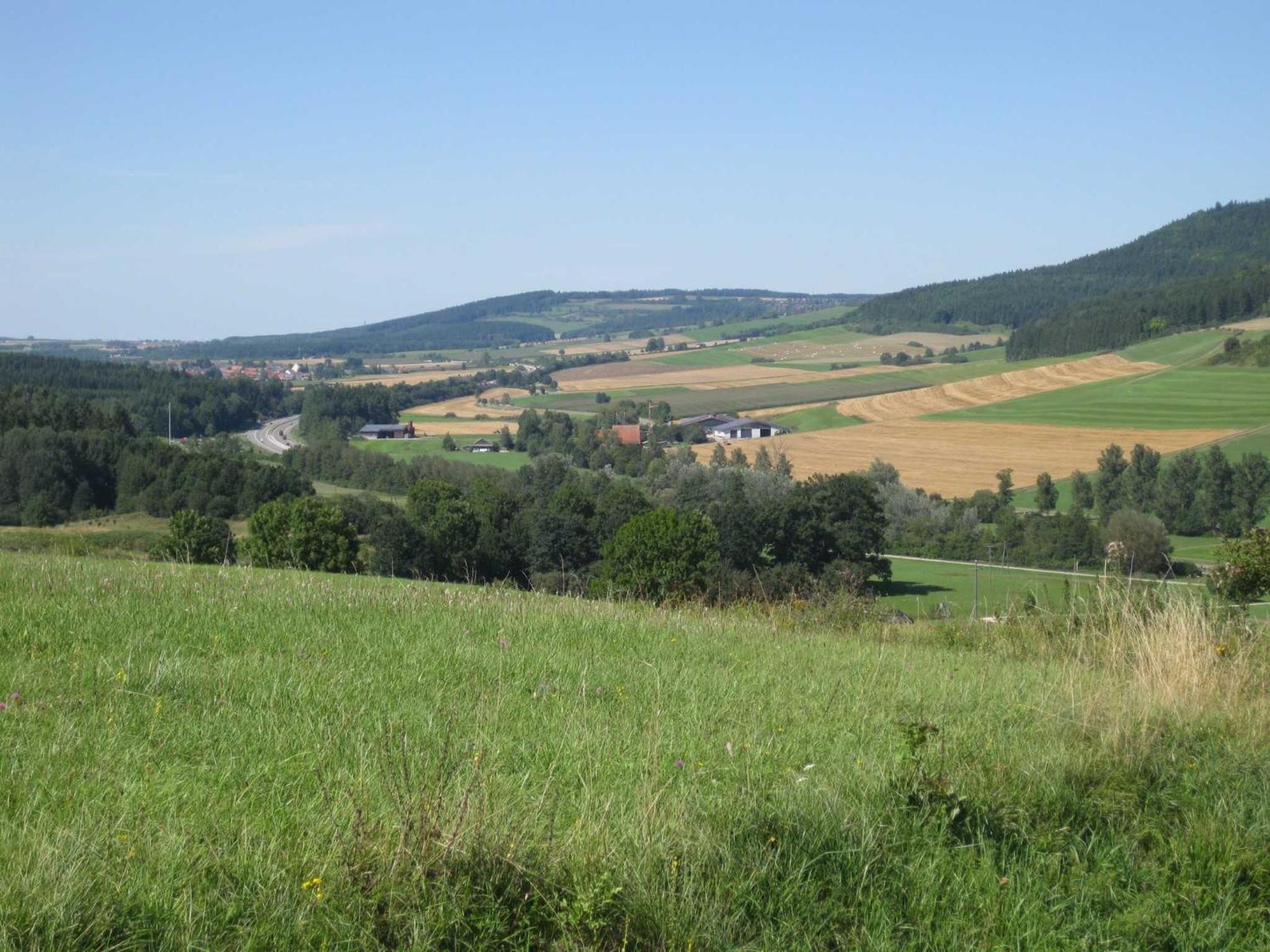 Haus Rehblick Apartment Braunlingen ภายนอก รูปภาพ